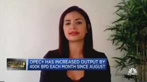 Bakr: Many OPEC members aren't able to meet their monthly production quotas