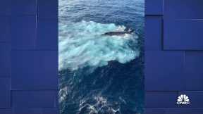 U.S. rushes to salvage wreckage of fighter jet after crash in South China Sea