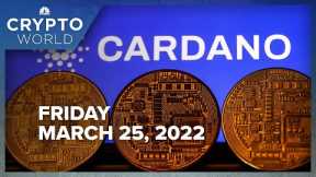 Grayscale CEO breaks down new fund tied to Cardano and Solana performance: CNBC Crypto World