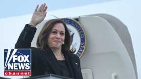 Kamala Harris is 'new low point' in U.S. diplomacy: Ex-Trump senior adviser