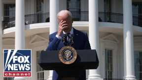 'The Five' debate if Biden can lead the Democratic party