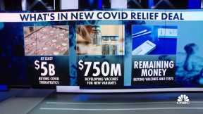 Bipartisan group of senators strike new $10B Covid relief deal