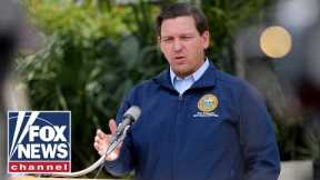 Disney employee praises Ron DeSantis: They went after him