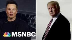 Reinstating Trump On A Musk-Led Twitter | Ayman