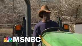 Black Farmers Face Delays In Pandemic Debt-Relief As Prices Soar