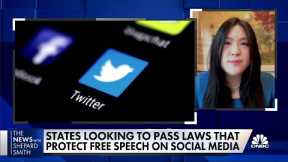 State lawmakers push back against Big Tech