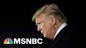Trump's Negligent Inaction On January 6th May Have Been Criminal: McQuade