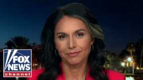 Tulsi calls out Kamala on cannabis hypocrisy