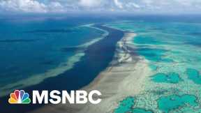 The Last Thing: Coral Comeback At The Great Barrier Reef
