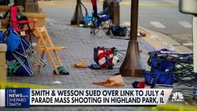 Smith & Wesson sued over link to July 4 mass shooting
