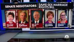 Senate delays same-sex marriage vote till after midterm election