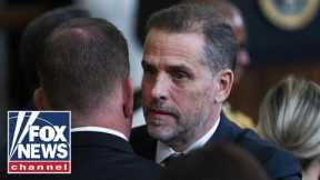 Bombshell Hunter Biden docs raise serious questions: Pompeo