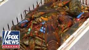 Maine lobsterman to Whole Foods: We were conservationists before it was cool