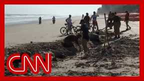 Hurricanes unearth mystery wreckage off Florida coast