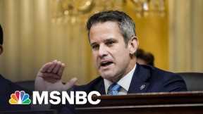 The Last Thing: Mr. Kinzinger’s Stark Warning