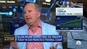Wall Street's take on EV is sacrifice margins for volumes, says Wedbush Securities' Dan Ives