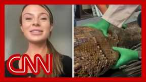 'Never smelled anything like that': Scientist finds gator inside 18-foot python
