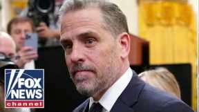 Trey Gowdy on Hunter Biden laptop claims: This makes zero sense