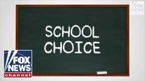 What is it? School Choice | Digital Originals