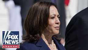 Americans grade Kamala Harris' performance as border czar | Americans Weigh In