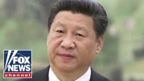 China engaged in an 'invasion' of sovereign American space: Mark Green