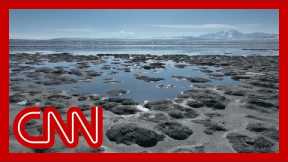 Great Salt Lake’s disappearance is an ‘imminent’ crisis