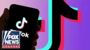 Governors reveal threat China's TikTok poses to Americans | Bret Baier Podcast