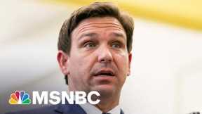 Swell of public support buoys New College students resisting DeSantis