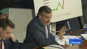 Senator Cruz to Secretary Mayorkas: If you had integrity you would resign!