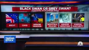 Looking for the next grey swans