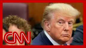CNN legal analyst breaks down first released image of Trump in court
