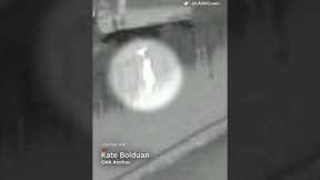 4 year old dropped over border wall