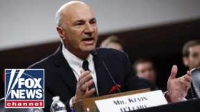 Why Mr. Wonderful Is All In On The Dollar | Will Cain Podcast
