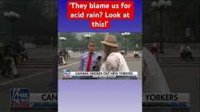 New Yorkers weigh in: Is this the end times? #shorts
