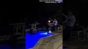 Florida homeowners discover ‘massive’ animal swimming in their pool