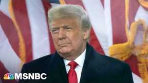 'The very center of the entire conspiracy': Raskin hails DOJ progress in Trump probe