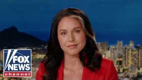 The American people are not stupid: Tulsi Gabbard