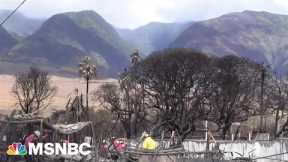 Death toll in Maui wildfires rises to 114