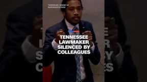 Tennessee lawmaker silenced by colleagues