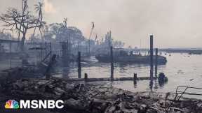 'It looks apocalyptic': Maui resident describes experience with deadly wildfires