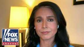 Gabbard: Hawaiians say the government's fire response is sorely lacking