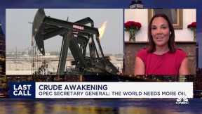 OPEC would like the focus to be on reducing emissions, not oil investment, says RBC's Helima Croft