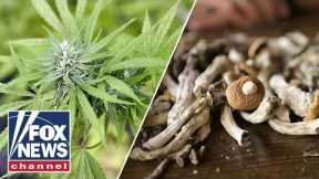 'California sober': Could you be sober on hallucinogens, psychedelics?