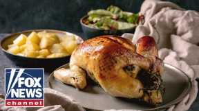 A FOX Family Thanksgiving | Will Cain Podcast