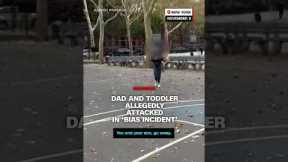 Dad and toddler allegedly attacked in 'bias incident'