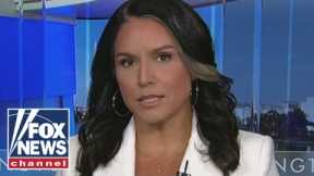 Tulsi Gabbard: This should alarm every single American