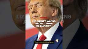 Liz Cheney warns about Trump re-election