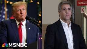 'Most dangerous person': Former Trump fixer Michael Cohen slams Trump on racist remarks