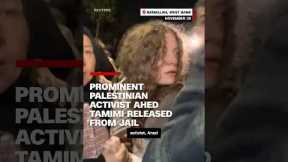 Prominent Palestinian activist Ahed Tamimi released from jail