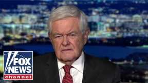 Newt Gingrich: Hunter Biden indictment shows first family akin to TV mob clan